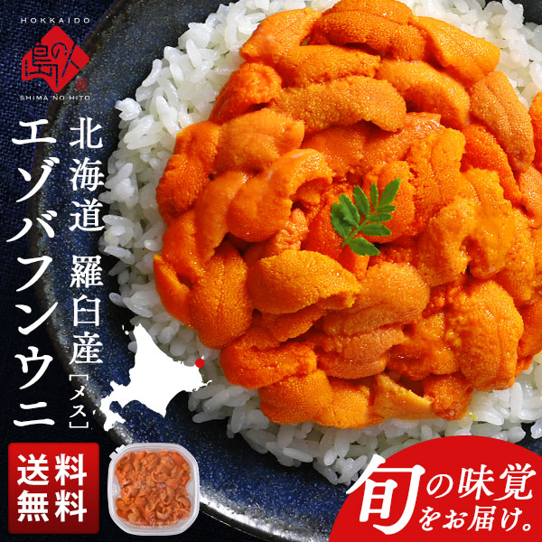 北海道 知床・羅臼産 生エゾバフンウニ メス 100g(ウニ丼大盛1杯分)【送料無料】<br><br>生うに 塩水ウニ 塩水パック うに 雲丹 グルメ 食品 食べ物 寿司 海鮮丼 ミョウバン不使用 お取り寄せグルメ 海鮮 バフン バフンウニ