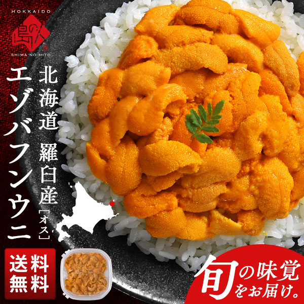 北海道 知床・羅臼産 生エゾバフンウニ オス 100g(ウニ丼大盛1杯分)【送料無料】<br><br>生うに 塩水ウニ 塩水パック うに 雲丹 グルメ 食品 食べ物 寿司 海鮮丼 ミョウバン不使用 お取り寄せグルメ 海鮮 バフン バフンウニ 高級