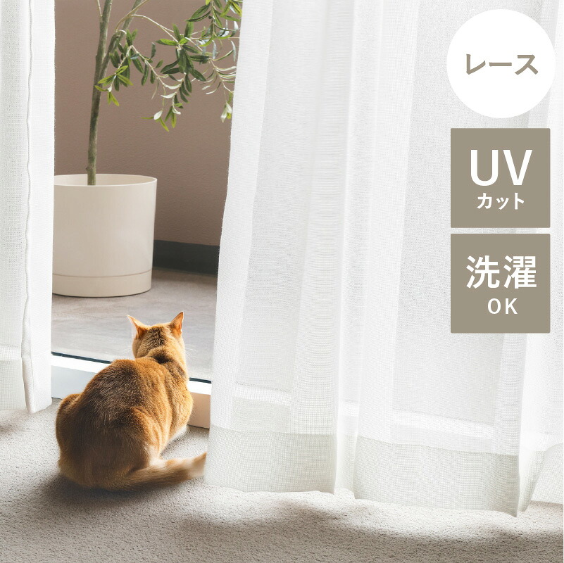 スピード競技 愛玩動物相応う 窓かけ Tufflis 手ごわい栗鼠 UVとり捨てる 象牙色 ベージュ 幅 401～500糎 購入注文 日本製 北欧 自然的 無地 今めかしい