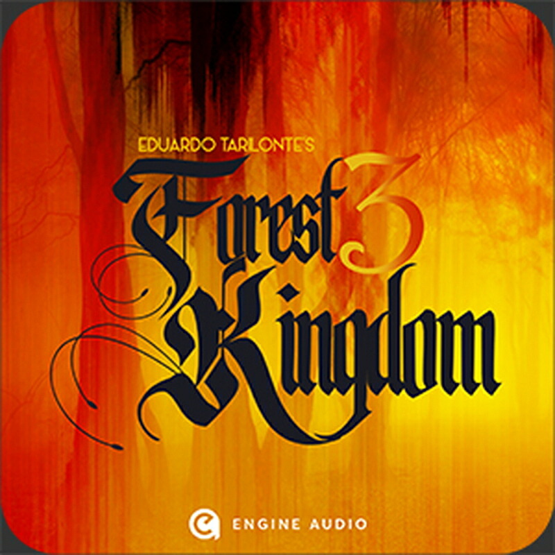 Engine Audio FOREST KINGDOM 3 / UPGRADE(オンライン納品)(2時間以内に納品) ソフトウェア音源
