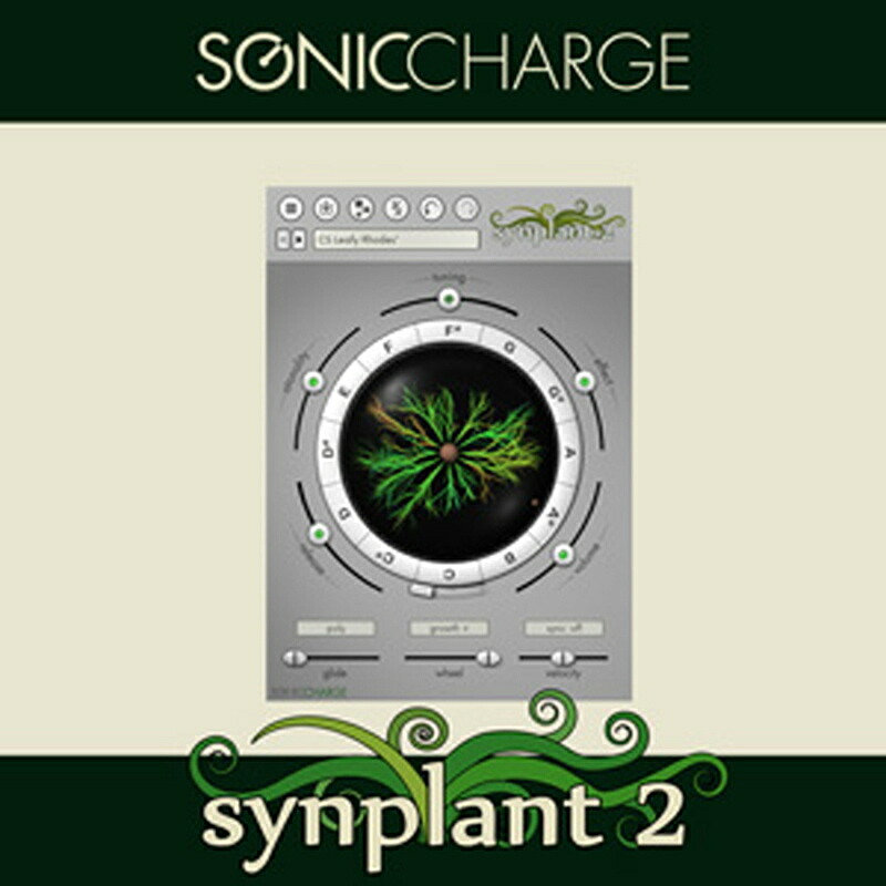 SONIC CHARGE SYNPLANT 2(オンライン納品)(2時間以内に納品) ソフトウェア音源