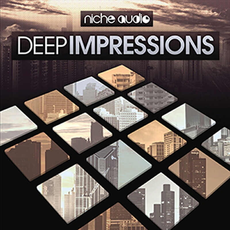 NICHE AUDIO DEEP IMPRESSIONS - ABLETON LIVE(オンライン納品)(2時間以内に納品) プラグインソフト
