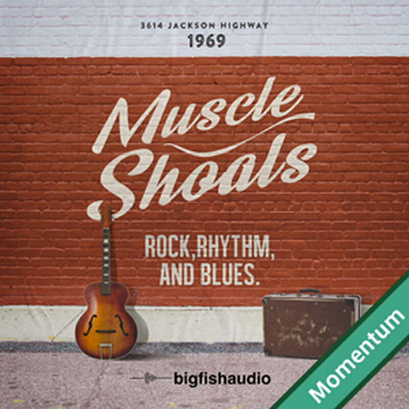 BIG FISH AUDIO MUSCLE SHOALS MMT(オンライン納品)(2時間以内に納品) プラグインソフト