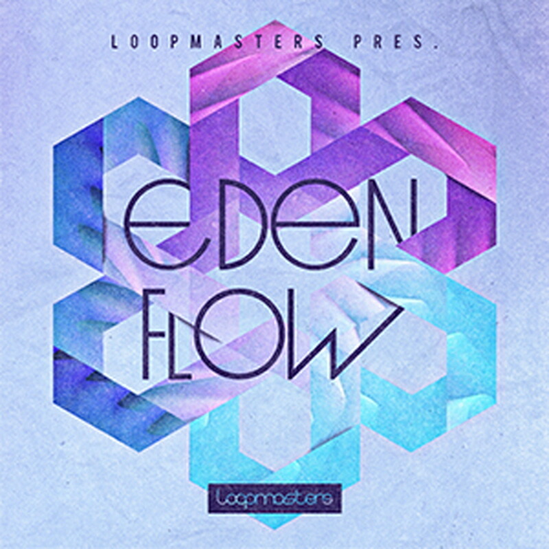 LOOPMASTERS EDEN FLOW(オンライン納品)(2時間以内に納品) プラグインソフト画像