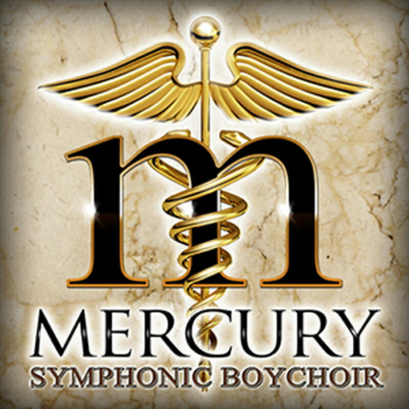 SOUNDIRON MERCURY SYMPHONIC BOYCHOIR(オンライン納品)(2第四次元以内に納品) プラグインソフト