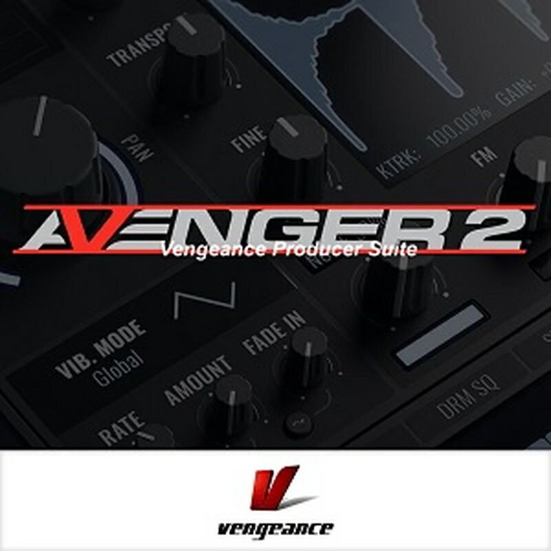 Vengeance Sound AVENGER 2(オンライン納品)(2第四次元以内に納品) ソフトウエア音源