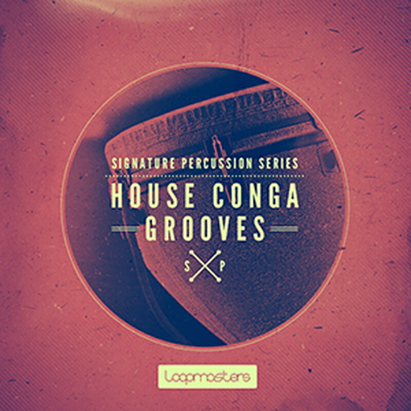 LOOPMASTERS SIGNATURE PERCUSSION - HOUSE CONGA GROOVES(オンライン納品)(2時間以内に納品) プラグインソフト