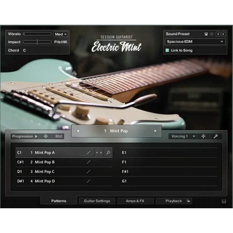 Native Instruments Session Guitarist - Electric Mint (エレキギター音源)(KONTAKT PLAYER)(オンライン納品)(2時間以内に納品) ソフトウェア音源
