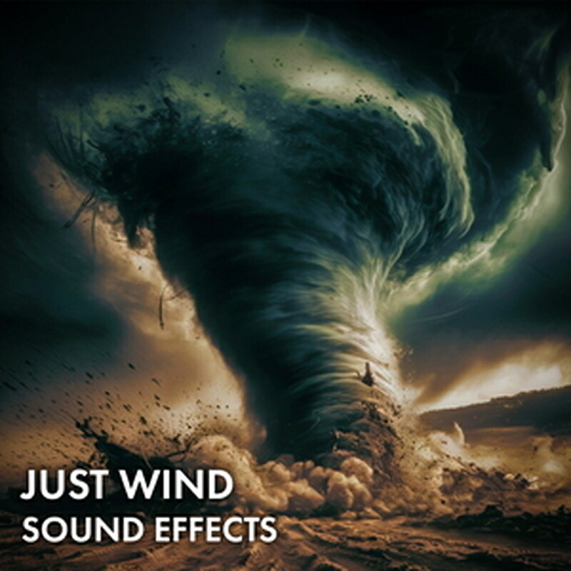 SOUND IDEAS JUST WIND SOUND EFFECTS(オンライン納品)(2時間以内に納品) プラグインソフト