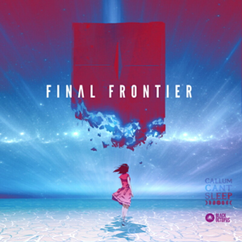 BLACK OCTOPUS CALLUMCANTSLEEP - FINAL FRONTIER(オンライン納品)(2時間以内に納品) プラグインソフト