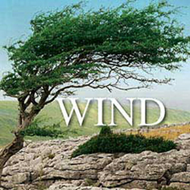 SOUND IDEAS WIND SOUND EFFECTS(オンライン納品)(2時間以内に納品) プラグインソフト