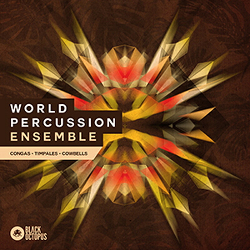BLACK OCTOPUS WORLD PERCUSSION ENSEMBLE(オンライン納品)(2時間以内に納品) プラグインソフト