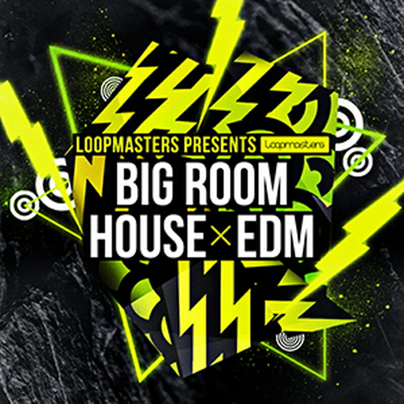 LOOPMASTERS BIG ROOM HOUSE & EDM(オンライン納品)(2時間以内に納品) プラグインソフト
