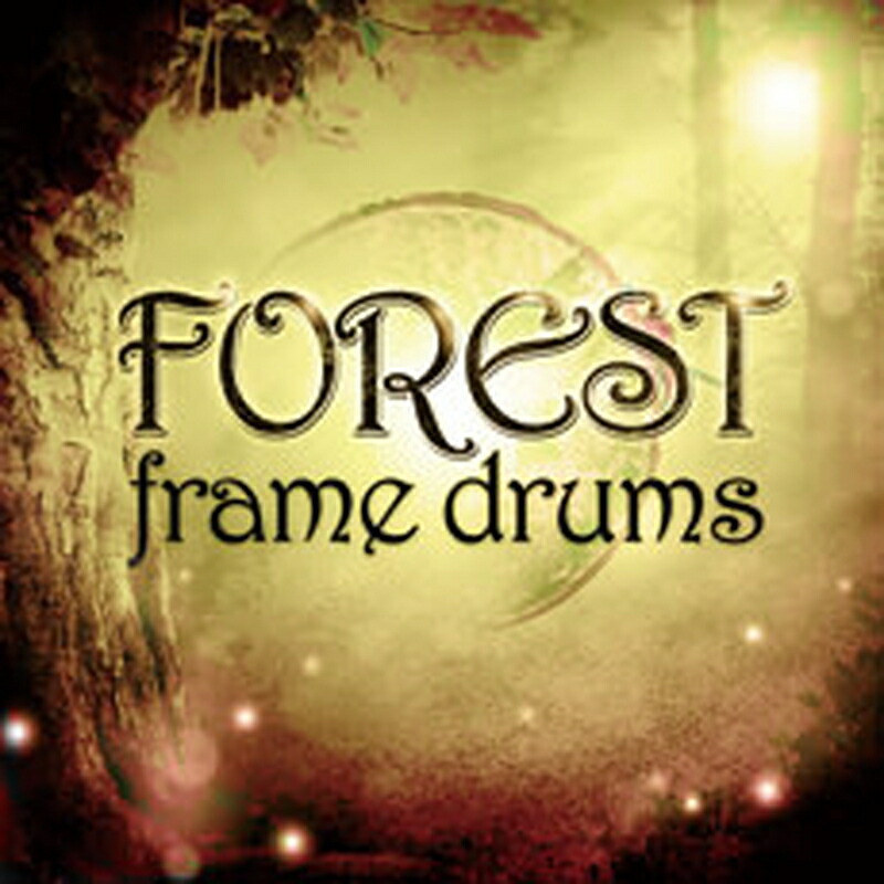 IMPACT SOUNDWORKS FOREST FRAME DRUMS(オンライン納品)(2時間以内に納品) プラグインソフト