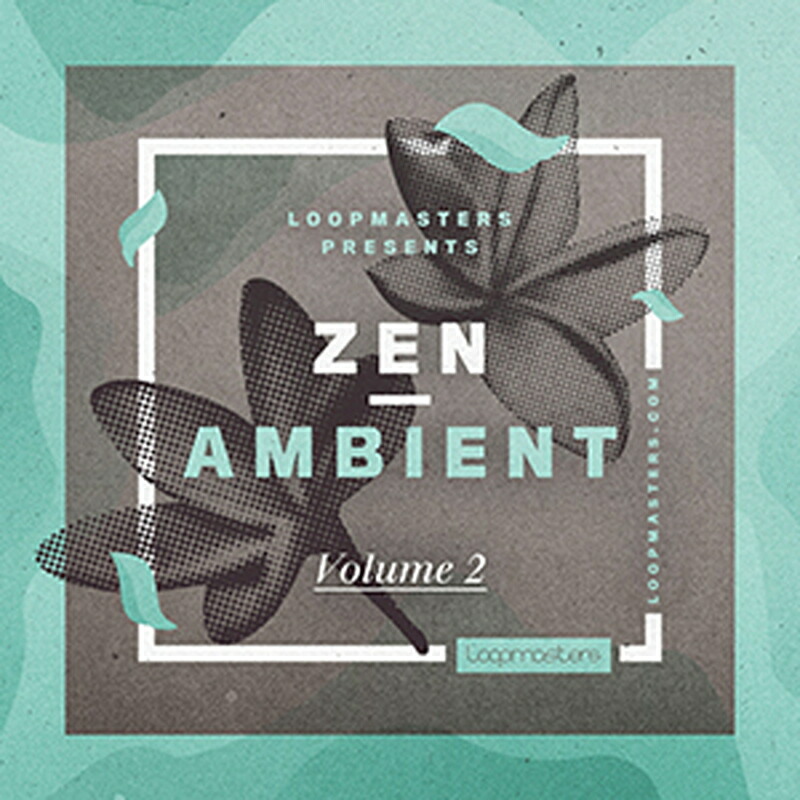 LOOPMASTERS ZEN AMBIENT - VOL 2(オンライン納品)(2時間以内に納品) プラグインソフト