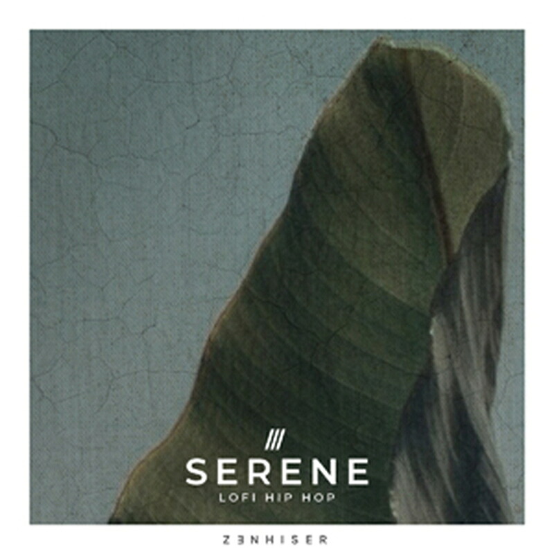 ZENHISER SERENE - LOFI HIP HOP(オンライン納品)(2時間以内に納品) プラグインソフト