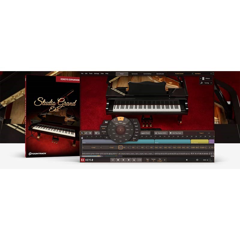 TOONTRACK EKX - STUDIO GRAND (トゥーントラック)(EKX拡張ライブラリ)(オンライン納品)(2時間以内に納品) ソフトウェア音源