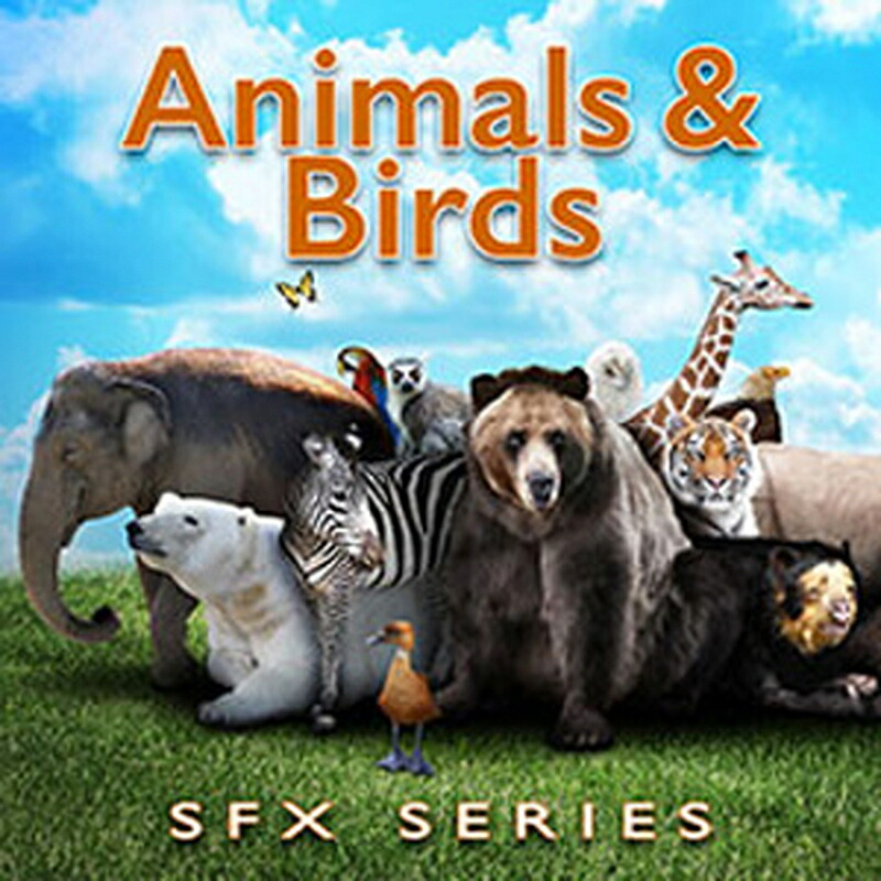 SOUND IDEAS ANIMALS & BIRDS SFX SERIES(オンライン納品)(2時間以内に納品) プラグインソフト