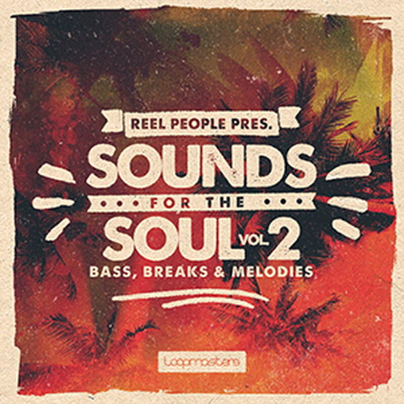 LOOPMASTERS REEL PEOPLE PRESENTS SOUNDS FOR THE SOUL 2(オンライン納品)(2時間以内に納品) プラグインソフト
