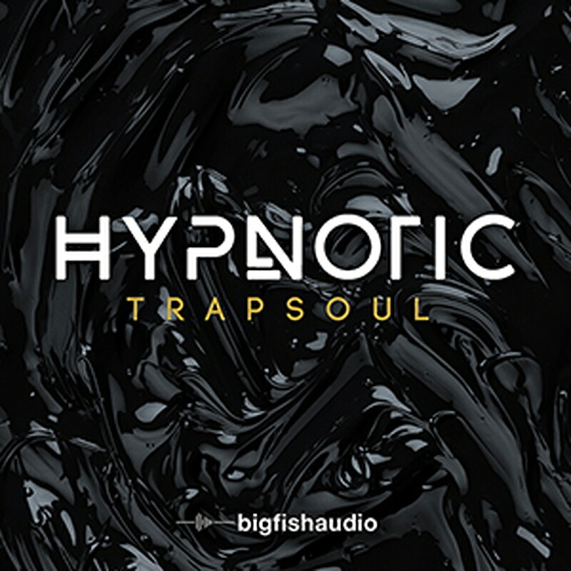 BIG FISH AUDIO HYPNOTIC TRAPSOUL(オンライン納品)(2時間以内に納品) プラグインソフト