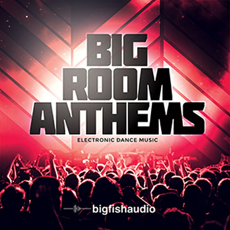 BIG FISH AUDIO BIG ROOM ANTHEMS(オンライン納品)(2時間以内に納品) プラグインソフト