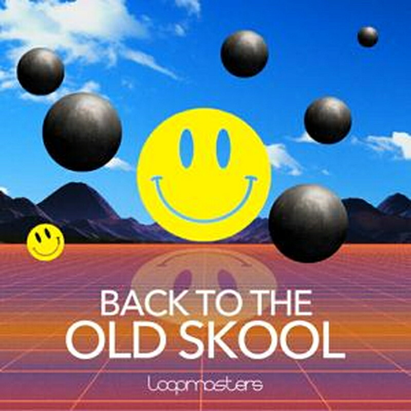 LOOPMASTERS BACK TO THE OLD SKOOL(オンライン納品)(2時間以内に納品) プラグインソフト