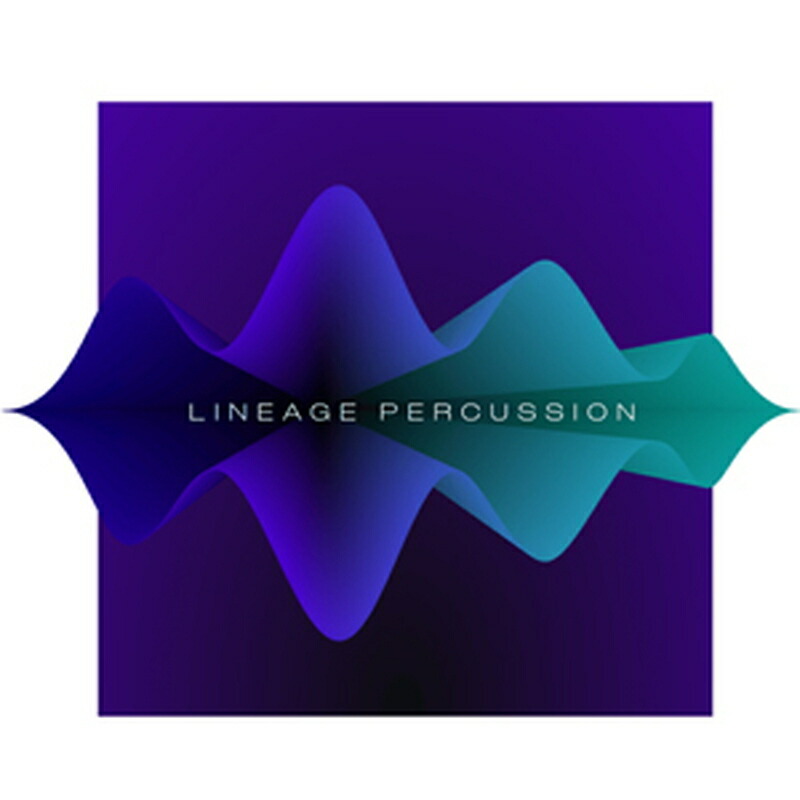 PROJECT SAM LINEAGE PERCUSSION PRO(オンライン納品)(2第四次元以内に納品) ソフトウエア音源
