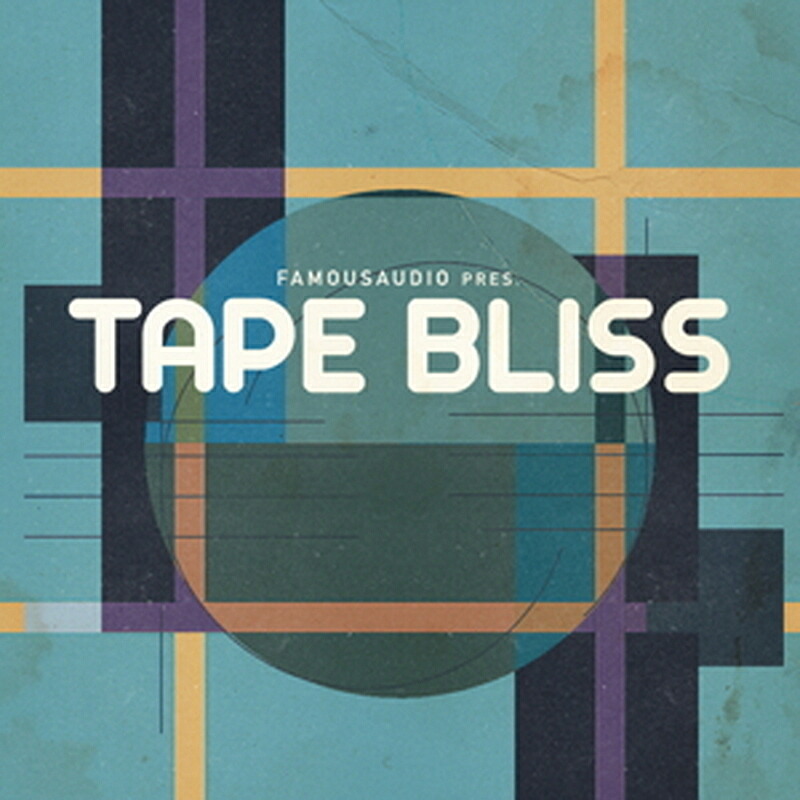FAMOUS AUDIO TAPE BLISS(オンライン納品)(2時間以内に納品) プラグインソフト