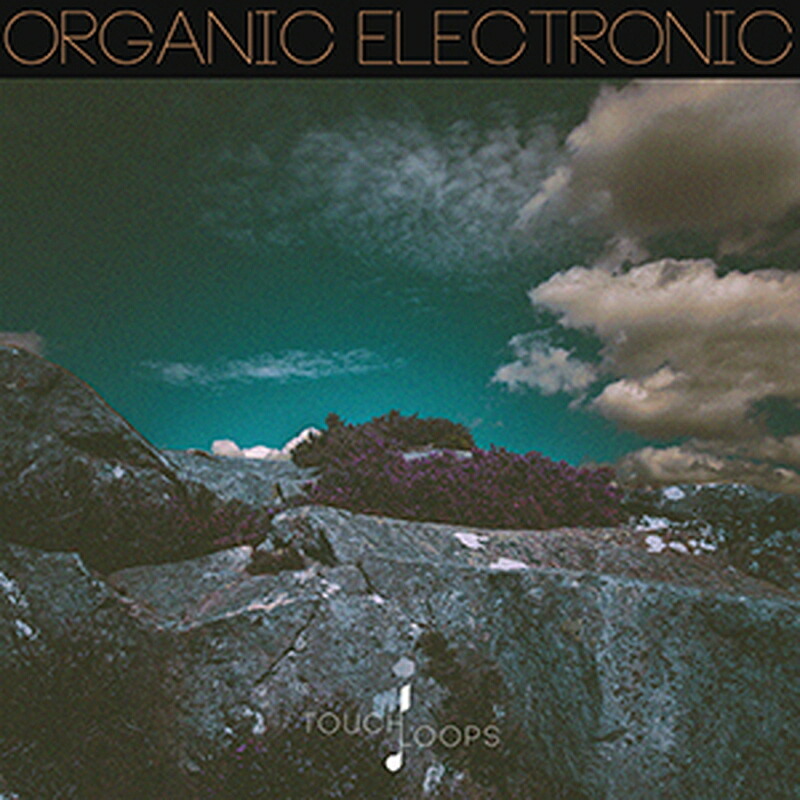 TOUCH LOOPS ORGANIC ELECTRONIC(オンライン納品)(2時間以内に納品) プラグインソフト