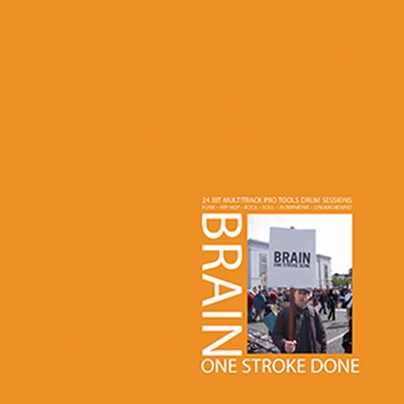 BIG FISH AUDIO BRAIN ONE STROKE DONE(オンライン納品)(2時間以内に納品) プラグインソフト