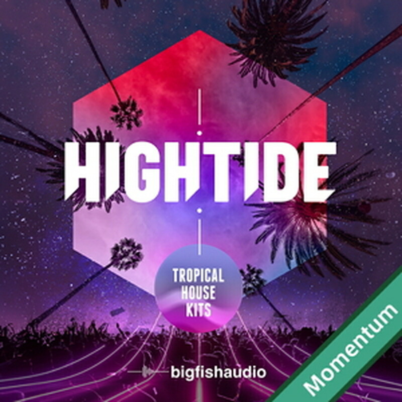 BIG FISH AUDIO HIGH TIDE - TROPICAL HOUSE KITS(オンライン納品)(2時間以内に納品) プラグインソフト