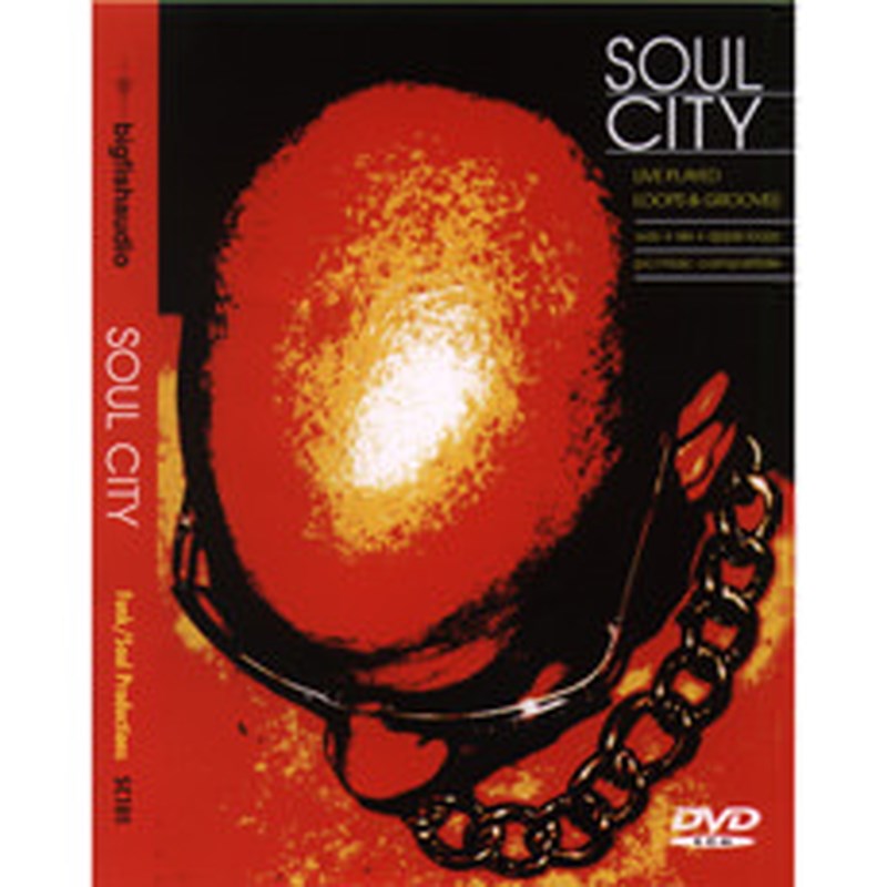 BIG FISH AUDIO SOUL CITY(オンライン納品)(2時間以内に納品) プラグインソフト