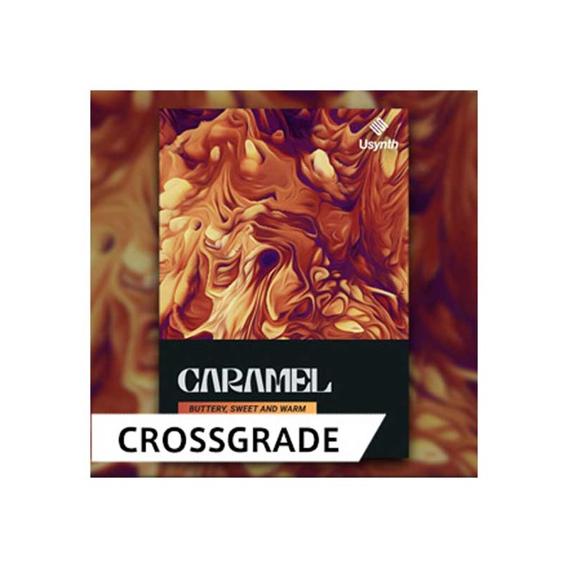 UJAM USYNTH CARAMEL / CROSS GRADE (オンライン納品)(2時間以内に納品) ソフトウェア音源