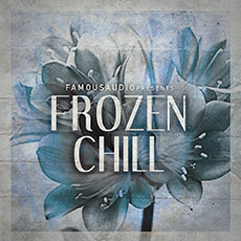 FAMOUS AUDIO FROZEN CHILL(オンライン納品)(2時間以内に納品) プラグインソフト