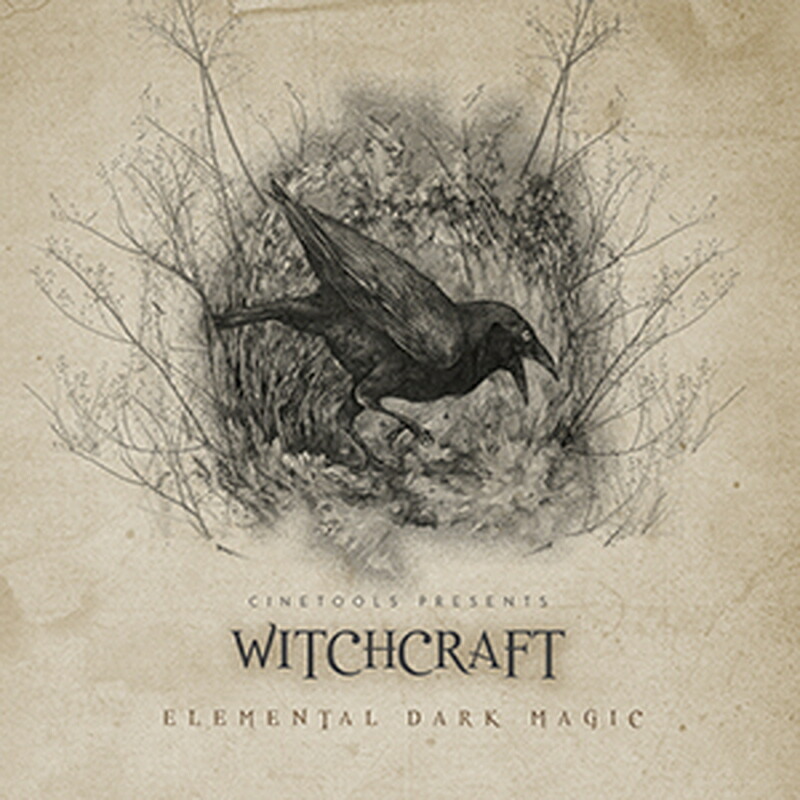 CINETOOLS WITCHCRAFT(オンライン納品)(2時間以内に納品) プラグインソフト