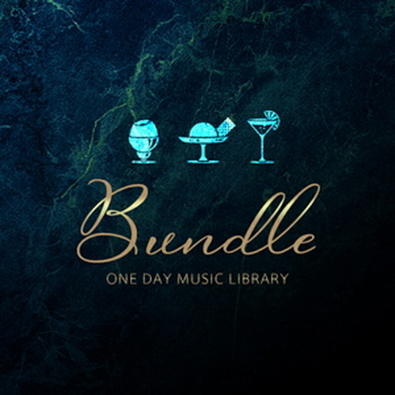 隠し成り行き音 ONE DAY MUSIC LIBRARY - BUNDLE(オンライン納品)(2第四次元以内に納品) プラグインソフト
