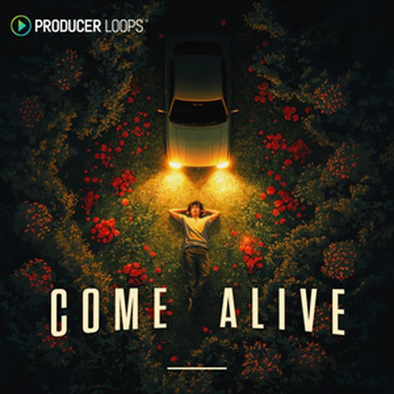 PRODUCER LOOPS COME ALIVE(オンライン納品)(2時間以内に納品) プラグインソフト