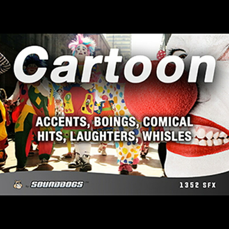SOUNDDOGS CARTOON(オンライン納品)(2時間以内に納品) プラグインソフト