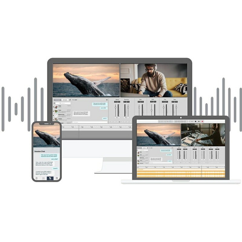 Soundwhale Level 3 Audio Post Solution (Perpetual)(オンライン納品)(2時間以内に納品) プラグインソフト