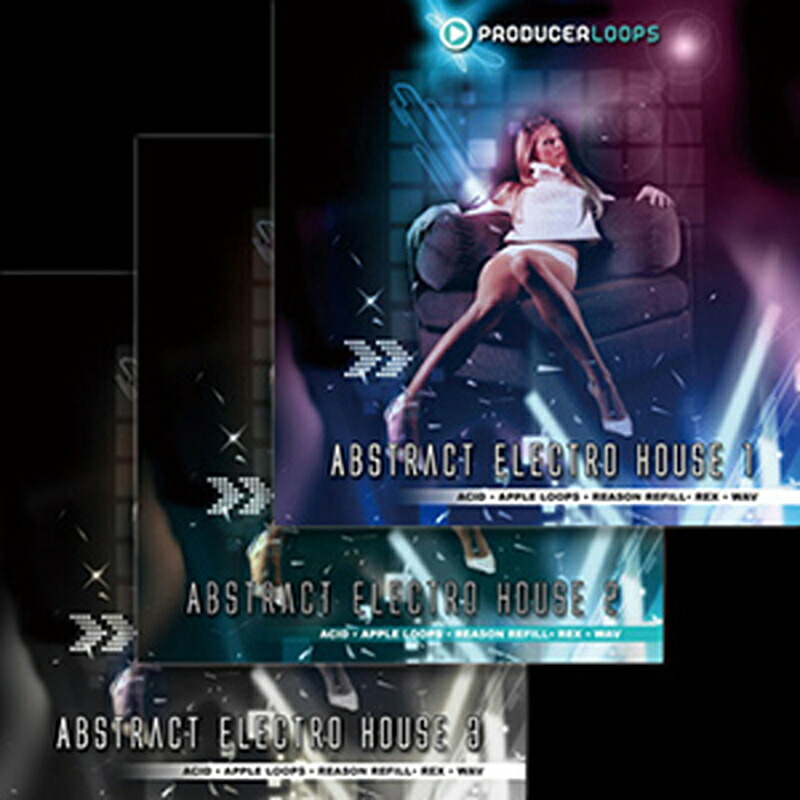 PRODUCER LOOPS EURO HOUSE VOL.1(オンライン納品)(2時間以内に納品) プラグインソフト