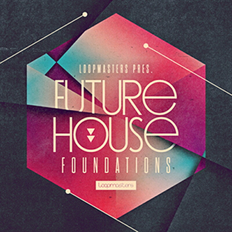 LOOPMASTERS FUTURE HOUSE FOUNDATIONS(オンライン納品)(2時間以内に納品) プラグインソフト