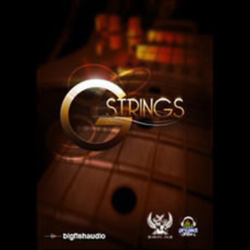 BIG FISH AUDIO G-STRINGS(オンライン納品)(2時間以内に納品) プラグインソフト