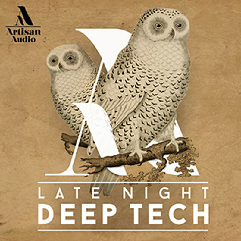 ARTISAN AUDIO LATE NIGHT DEEP TECH(オンライン納品)(2時間以内に納品) プラグインソフト