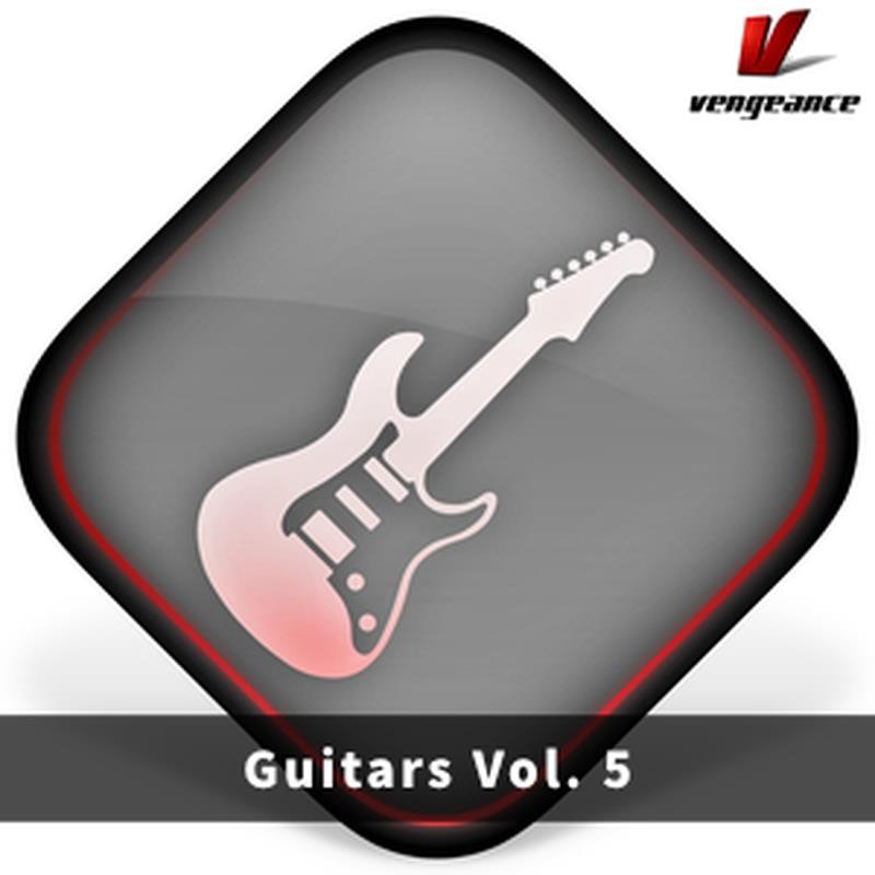 Vengeance Sound Guitars Vol.5 (ギターマルチループ)(AVENGER2専用拡張パック)(オンライン納品)(2時間以内に納品) ソフトウェア音源