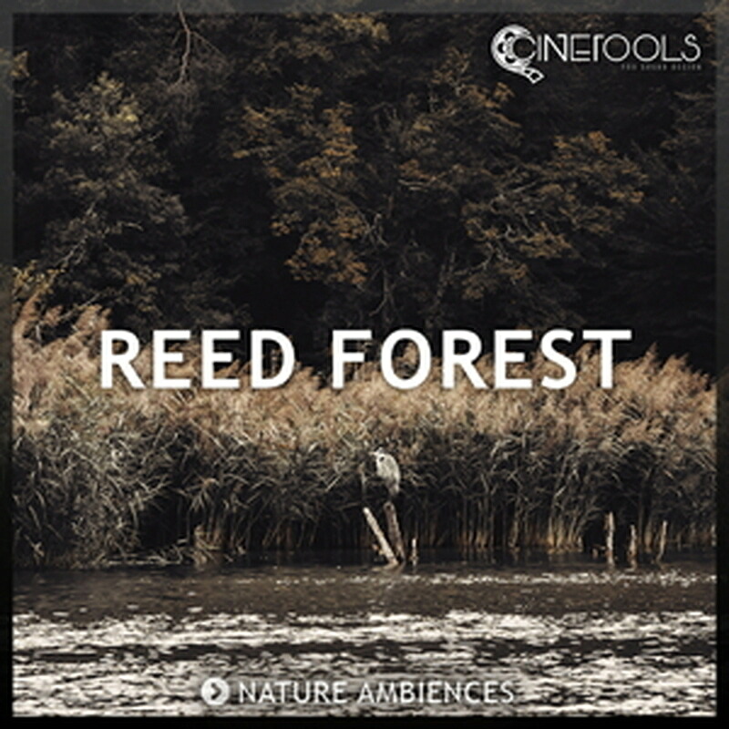 CINETOOLS REED FOREST(オンライン納品)(2第四次元以内に納品) プラグインソフト