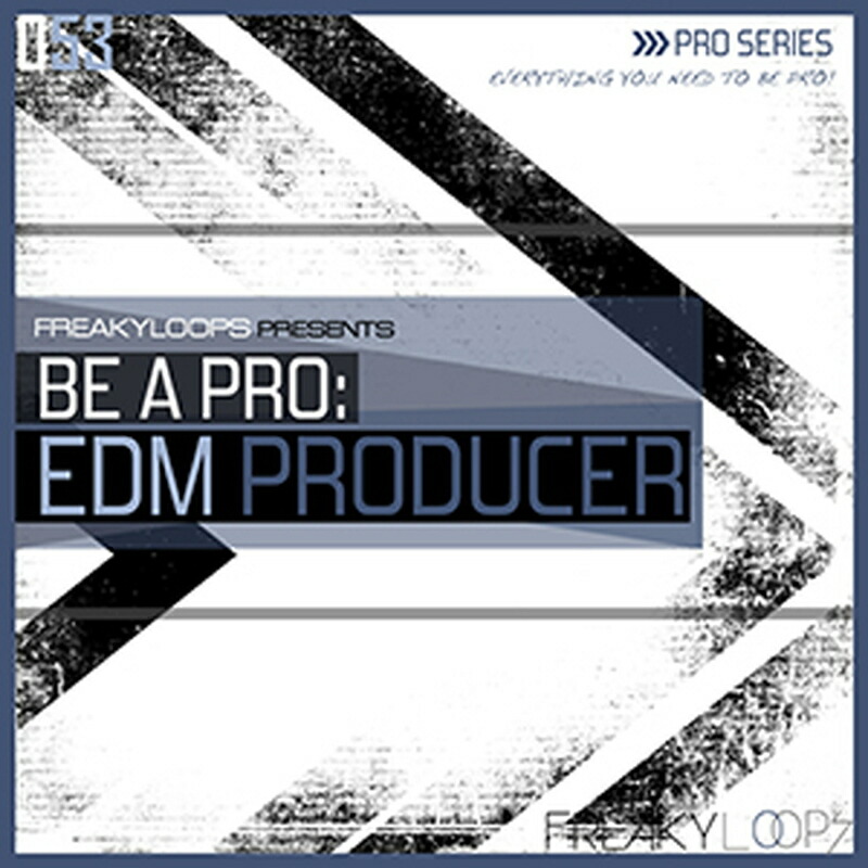 FREAKY LOOPS BE A PRO EDM PRODUCER(オンライン納品)(2時間以内に納品) プラグインソフト
