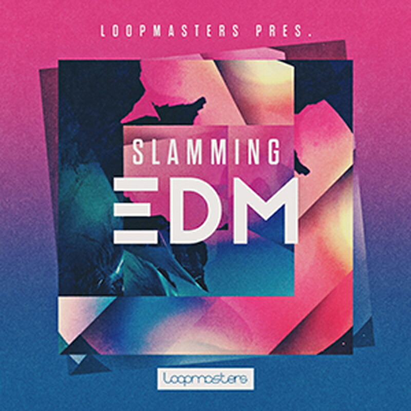 LOOPMASTERS SLAMMING EDM(オンライン納品)(2時間以内に納品) プラグインソフト