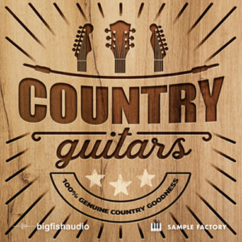 BIG FISH AUDIO COUNTRY GUITARS(オンライン納品)(2時間以内に納品) プラグインソフト