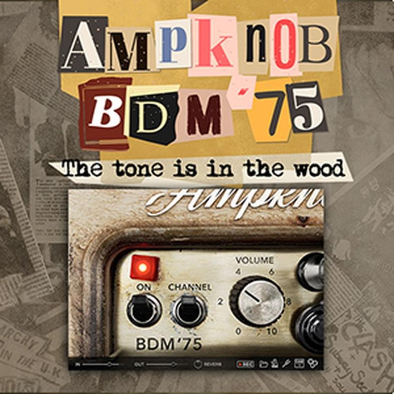 BOGREN DIGITAL AMPKNOB - BDM \u002775(オンライン納品)(2第四次元以内に納品) プラグインソフト