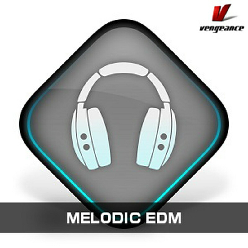 Vengeance Sound MELODIC EDM(オンライン納品)(2時間以内に納品) ソフトウェア音源